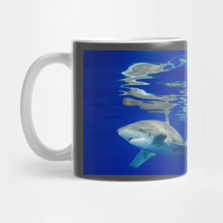 Reflections Mug